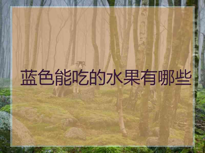 蓝色能吃的水果有哪些