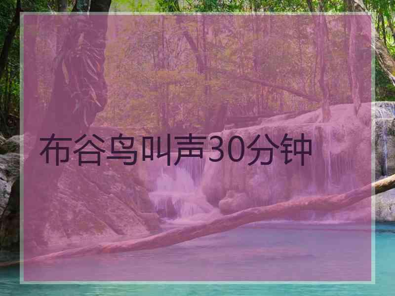 布谷鸟叫声30分钟