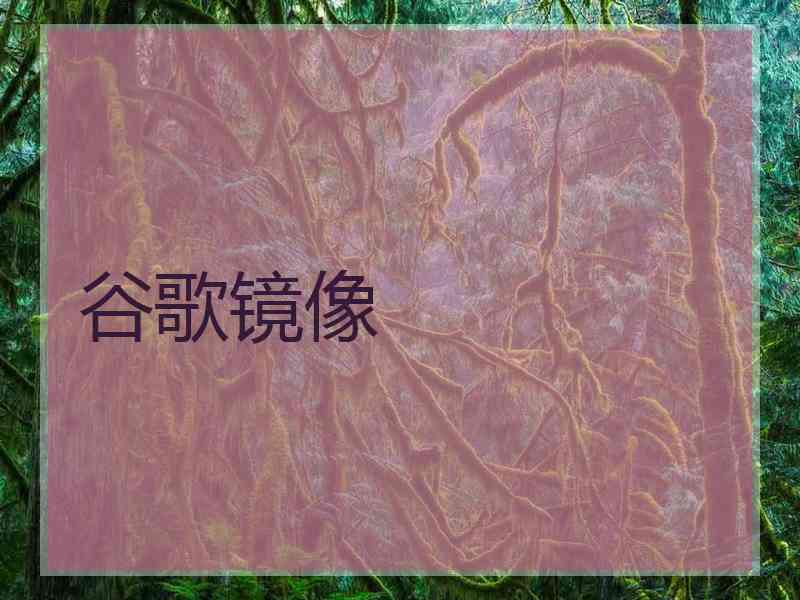 谷歌镜像