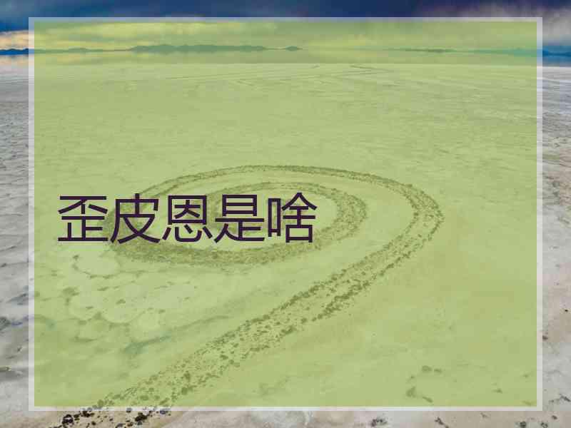 歪皮恩是啥
