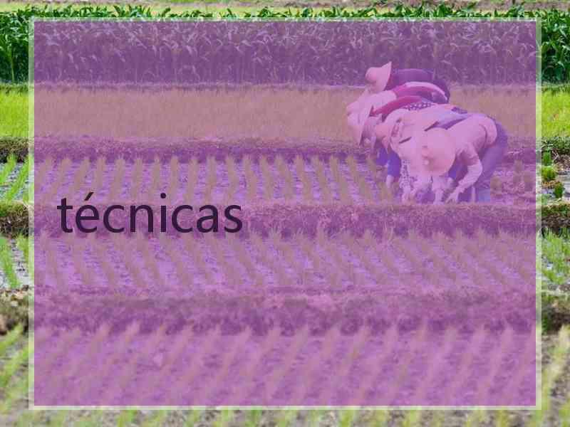 técnicas