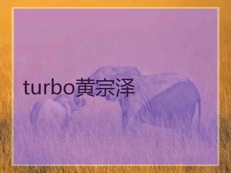turbo黄宗泽
