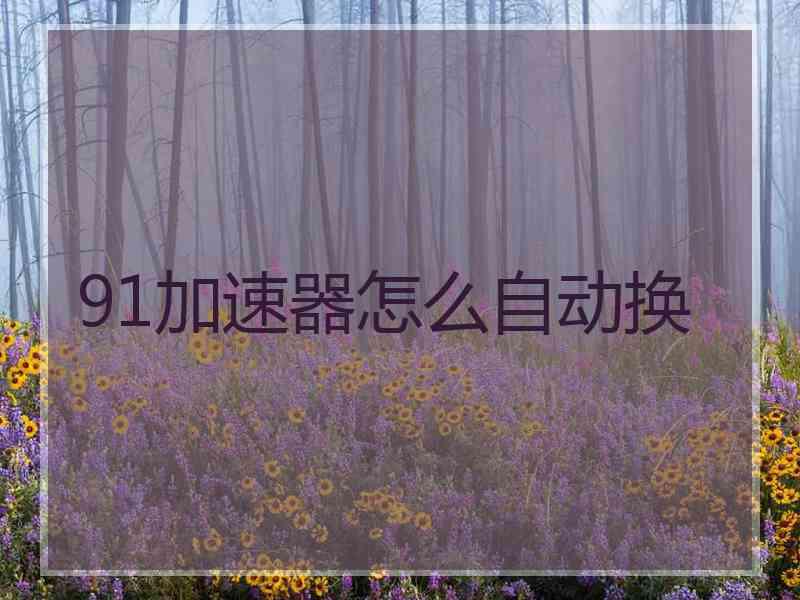 91加速器怎么自动换