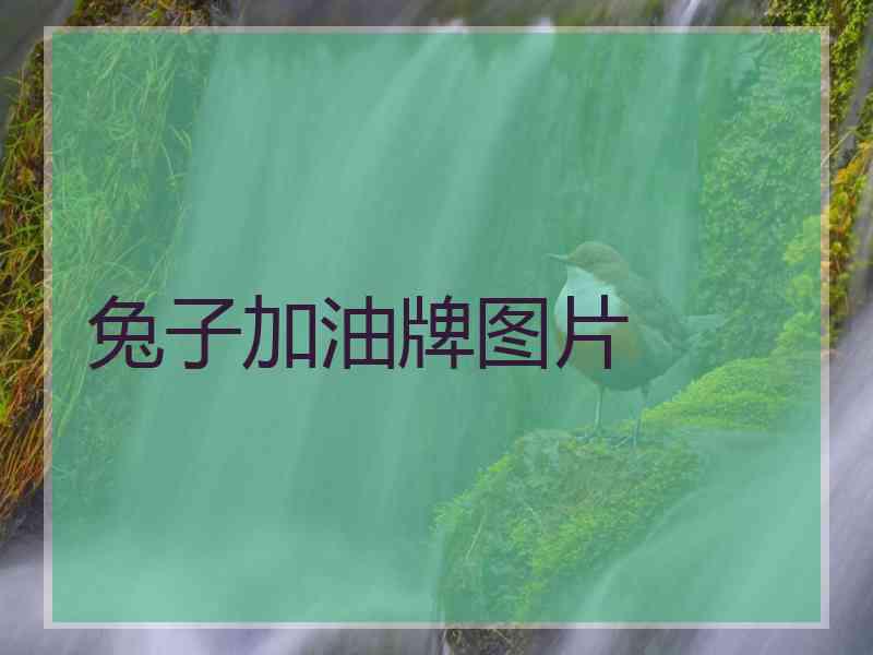 兔子加油牌图片