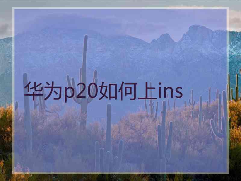 华为p20如何上ins