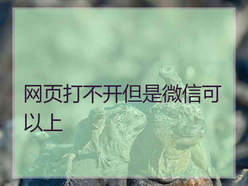 网页打不开但是微信可以上
