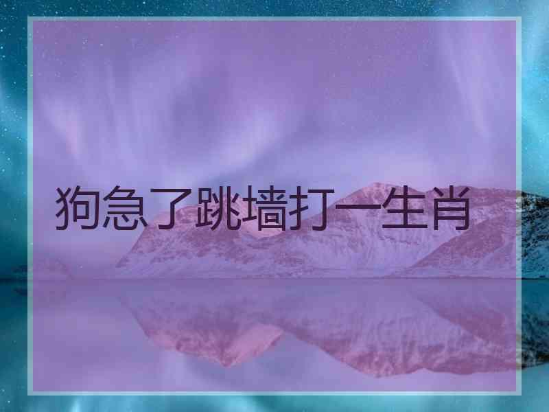 狗急了跳墙打一生肖