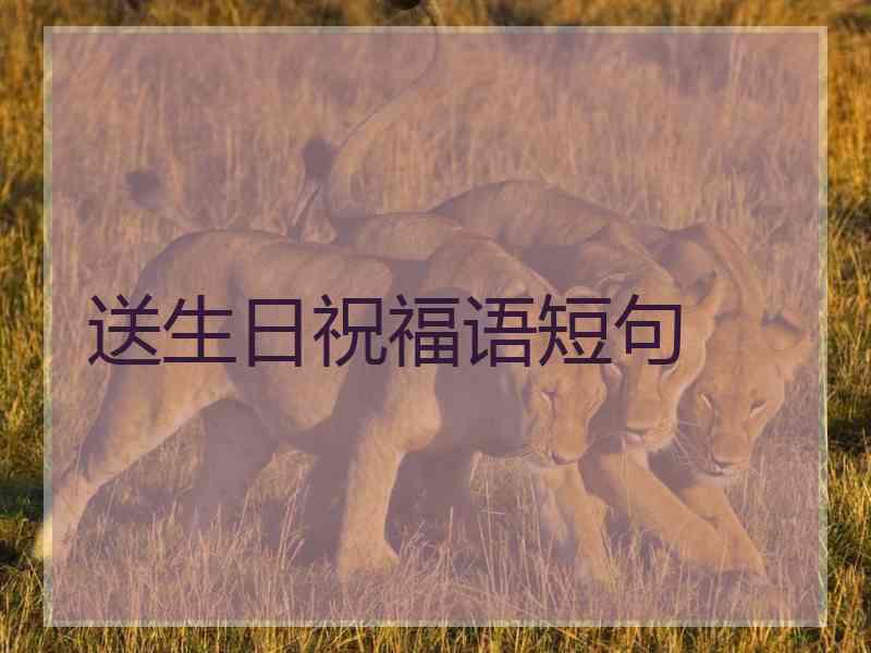 送生日祝福语短句