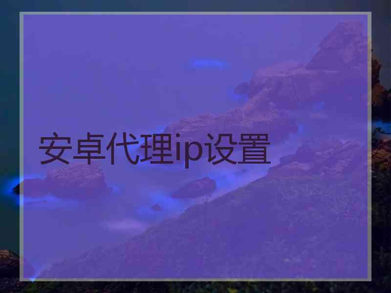 安卓代理ip设置