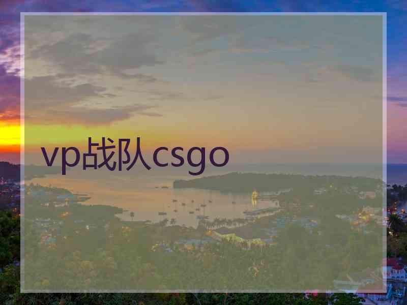 vp战队csgo