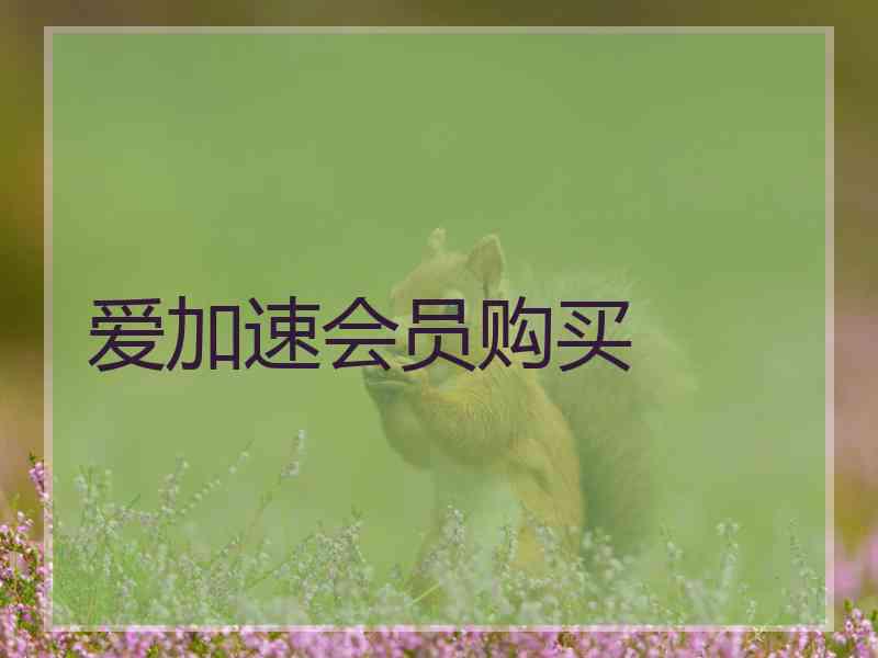 爱加速会员购买