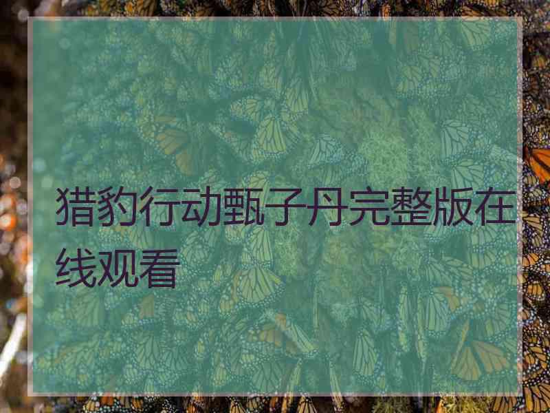 猎豹行动甄子丹完整版在线观看