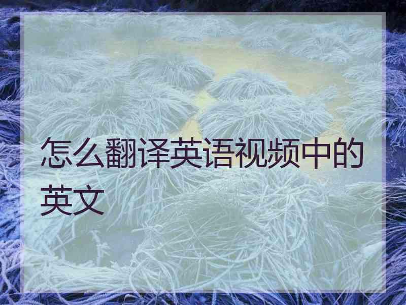 怎么翻译英语视频中的英文