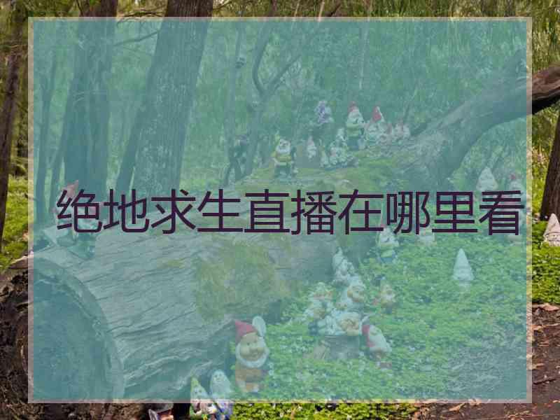 绝地求生直播在哪里看