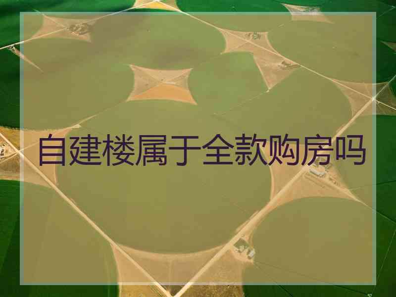自建楼属于全款购房吗