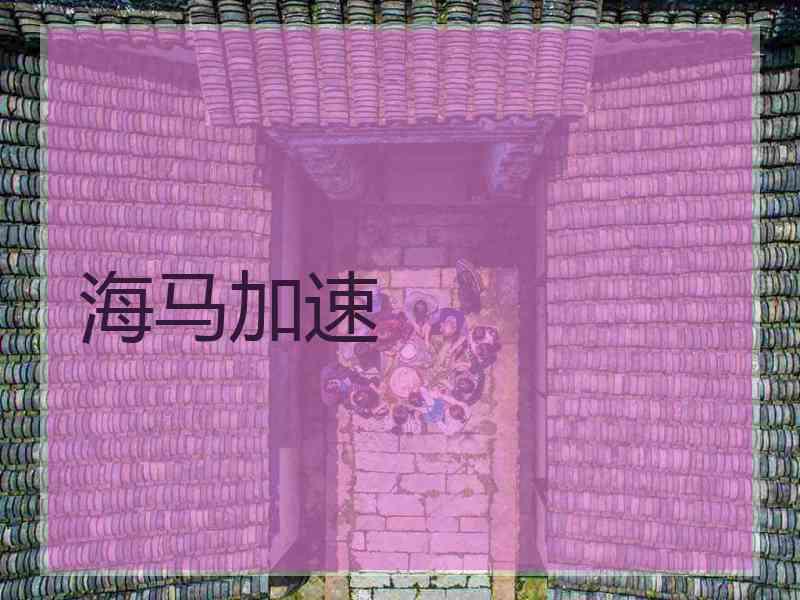 海马加速