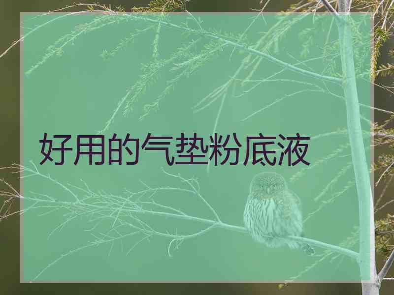 好用的气垫粉底液