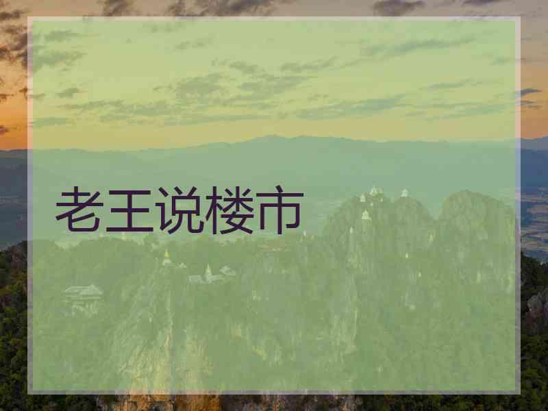 老王说楼市