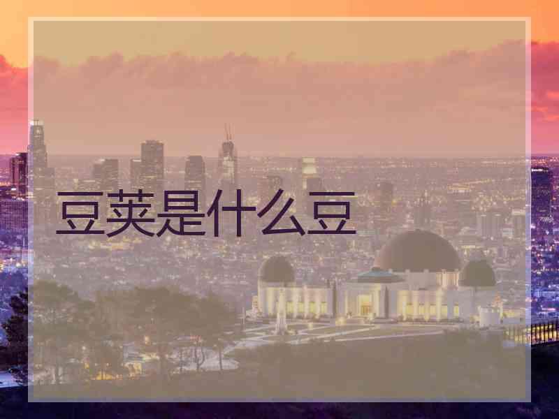 豆荚是什么豆