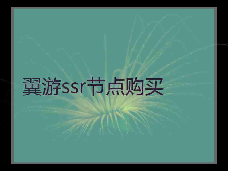 翼游ssr节点购买