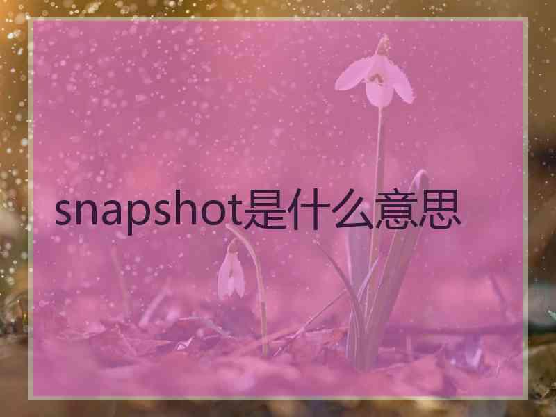 snapshot是什么意思