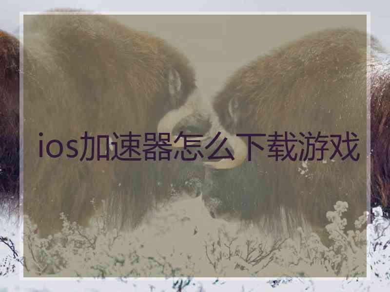 ios加速器怎么下载游戏