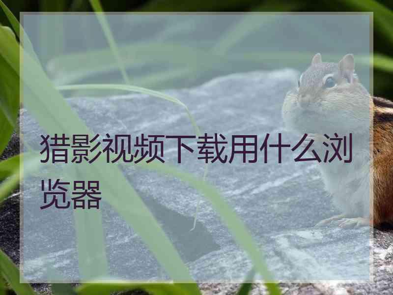 猎影视频下载用什么浏览器