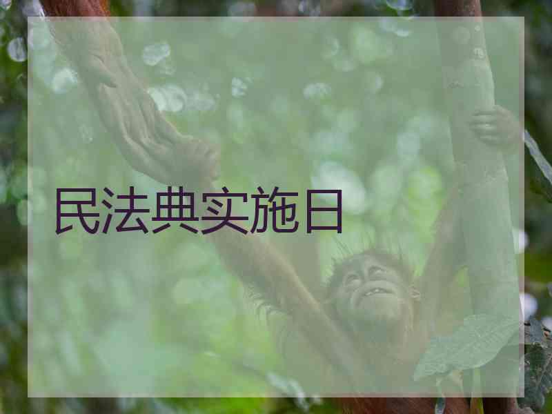 民法典实施日