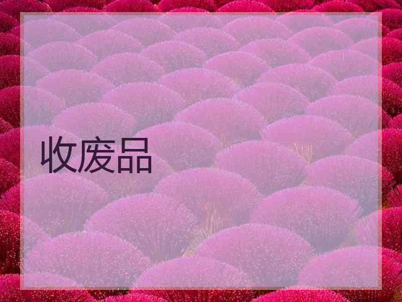 收废品