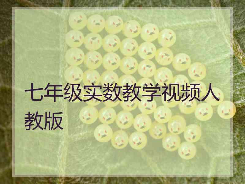 七年级实数教学视频人教版
