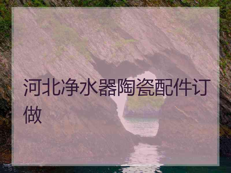 河北净水器陶瓷配件订做