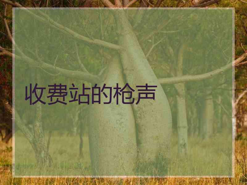 收费站的枪声