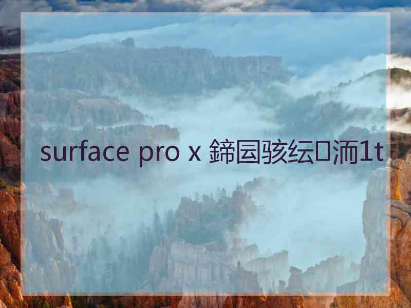 surface pro x 鍗囩骇纭洏1t