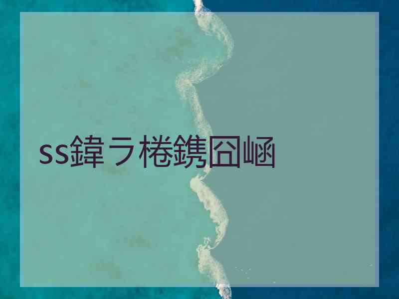 ss鍏ラ棬鎸囧崡