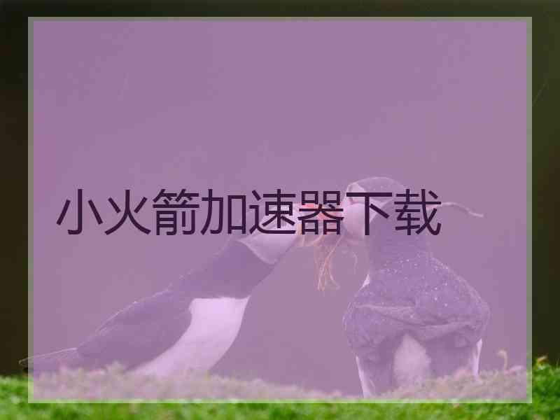小火箭加速器下载