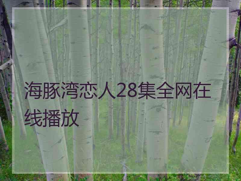 海豚湾恋人28集全网在线播放