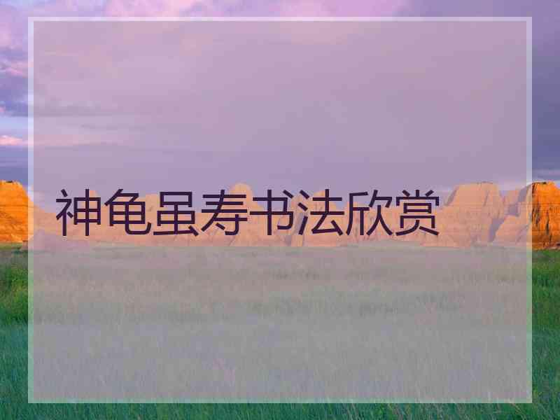 神龟虽寿书法欣赏