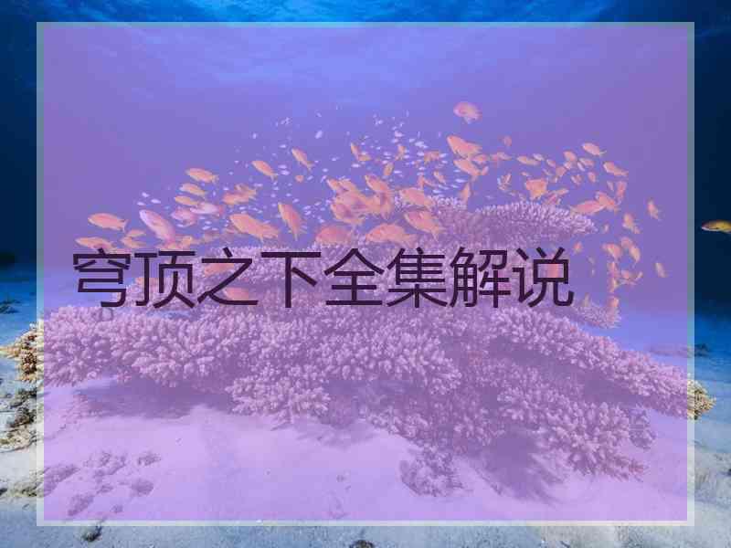 穹顶之下全集解说