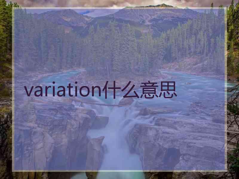 variation什么意思