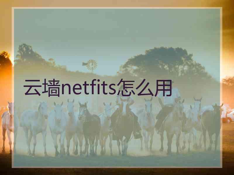 云墙netfits怎么用