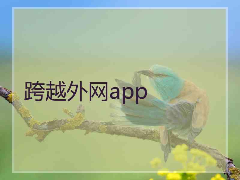 跨越外网app
