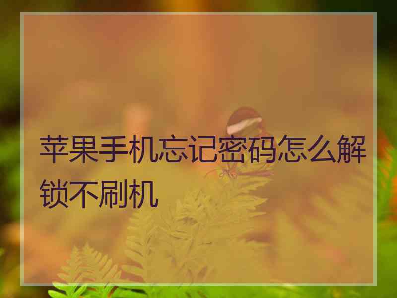 苹果手机忘记密码怎么解锁不刷机