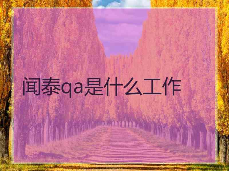 闻泰qa是什么工作