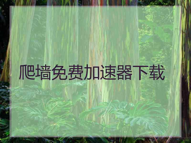 爬墙免费加速器下载