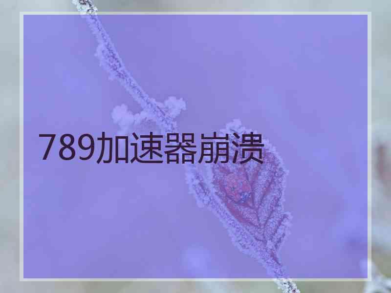 789加速器崩溃