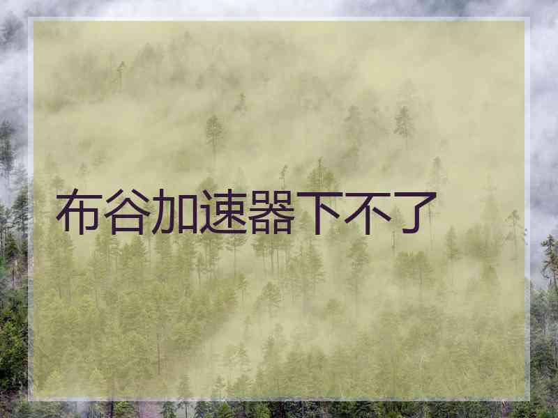 布谷加速器下不了