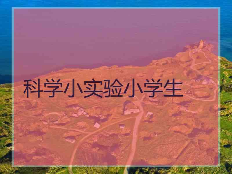 科学小实验小学生