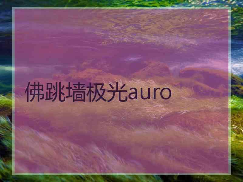 佛跳墙极光auro