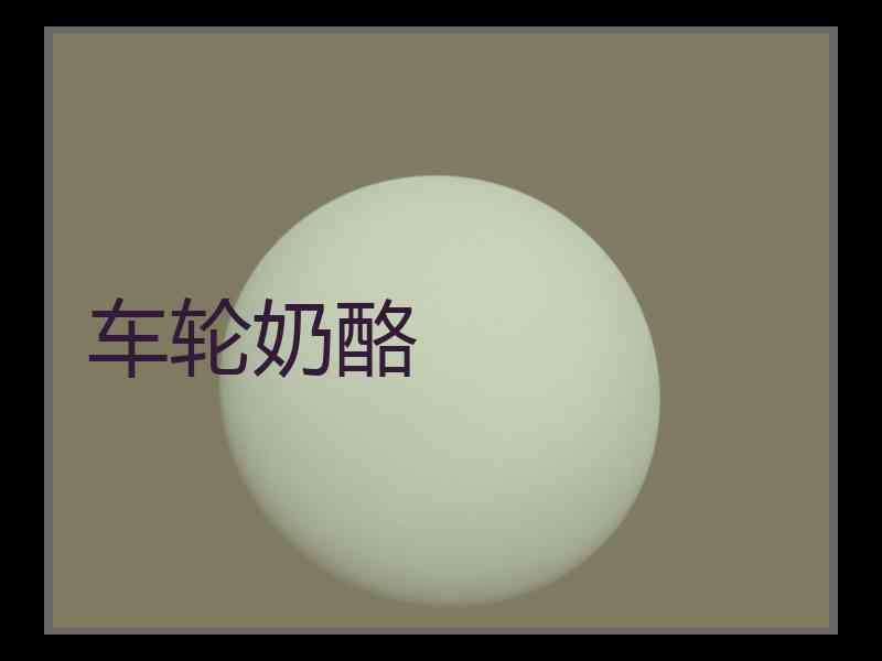 车轮奶酪