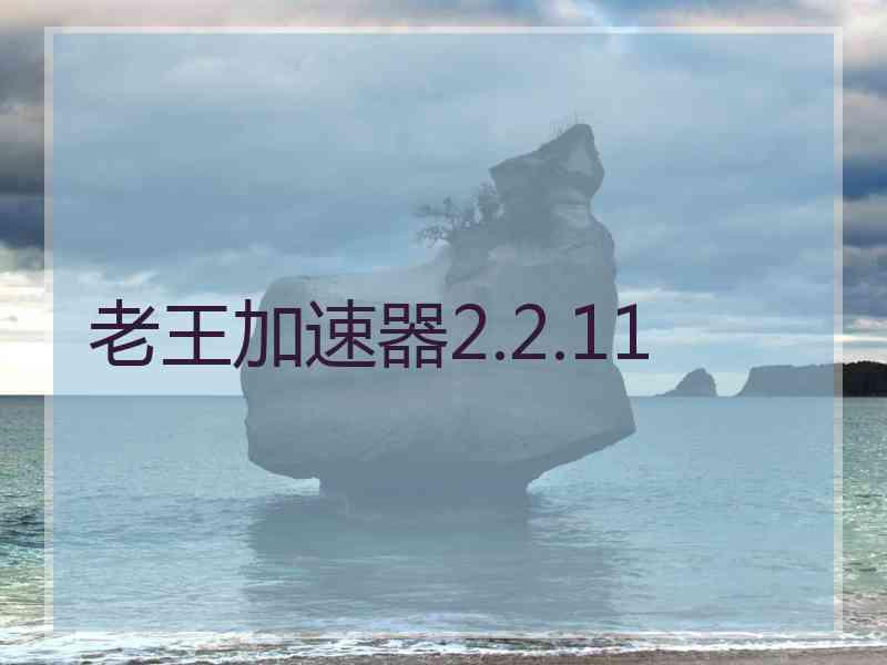 老王加速器2.2.11